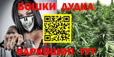 бошки Будённовск
