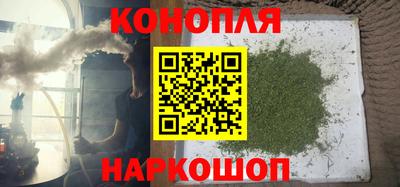 бошки Будённовск